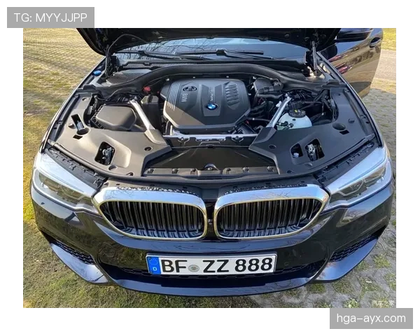 荷兰国家队携“橙色”精神强势冲刺世界杯，赛场表现亮眼